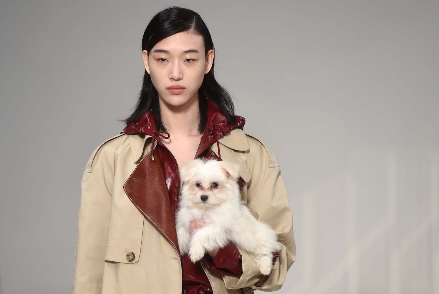 Tod's 2018-19 Sonbahar/Kış