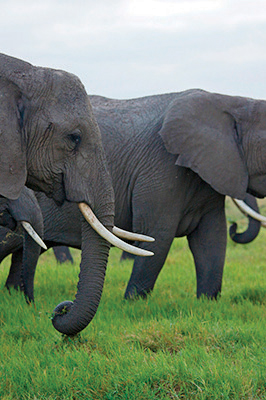 En romantik balayı otelleri