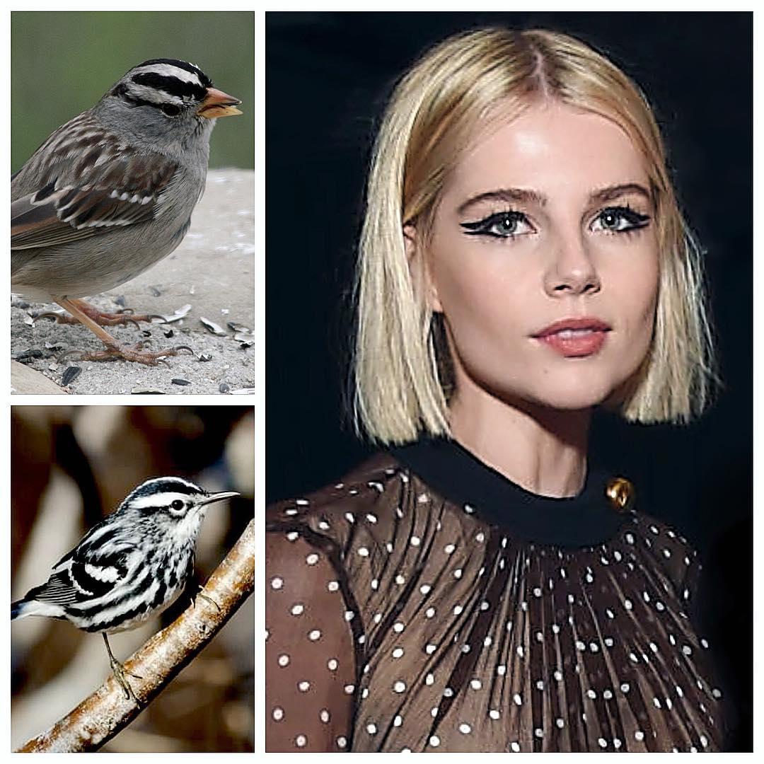 Lucy Boynton'un deneysel makyajları