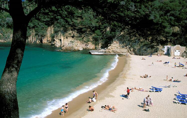 Avrupa'nın en temiz plajlarının 5'i Türkiye'de!