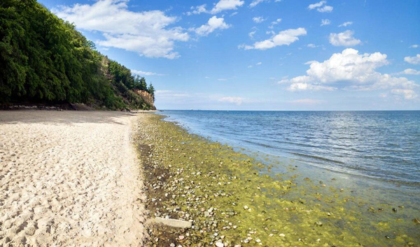 Avrupa'nın en temiz plajlarının 5'i Türkiye'de!