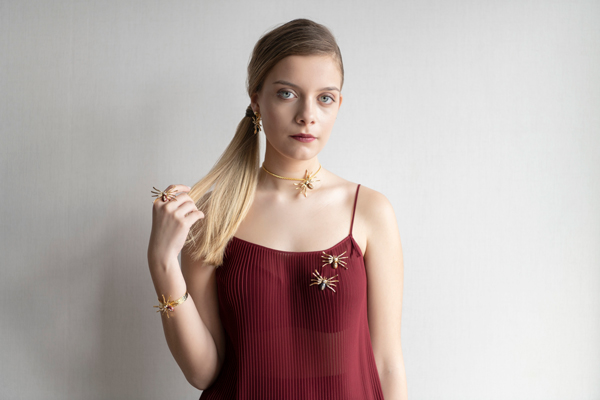 Volonté: Arzu, Niyet, İrade