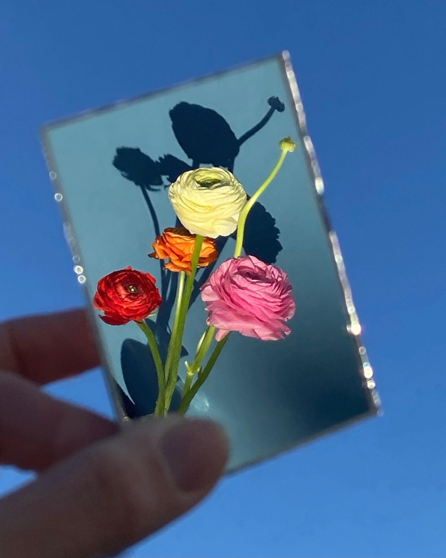 Jacquemus'un Çiçek Dükkanı