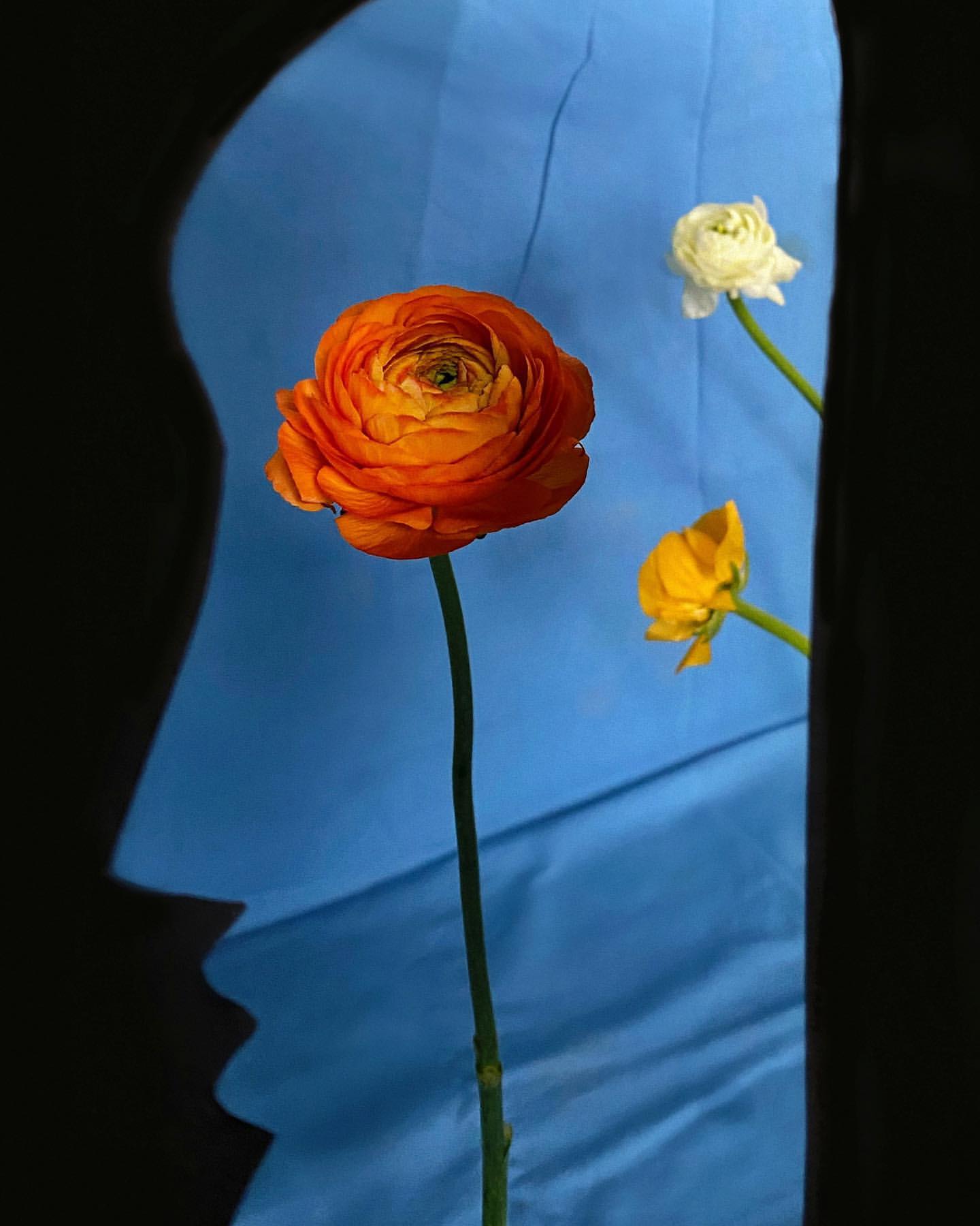 Jacquemus'un Çiçek Dükkanı