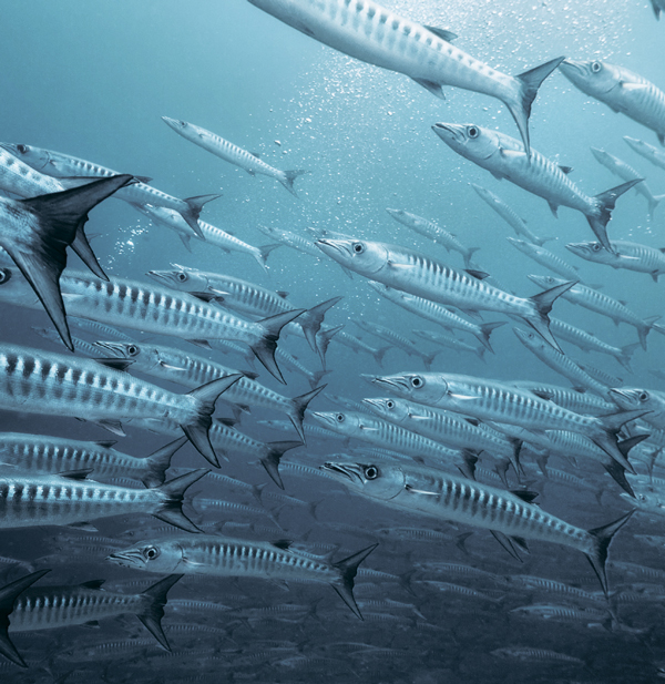 Tutkulu Gezginler İçin Keşfedilmeye Değer 100 Rota