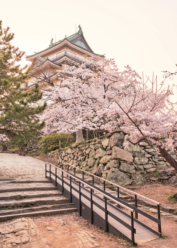 Tutkulu Gezginler İçin Keşfedilmeye Değer 100 Rota