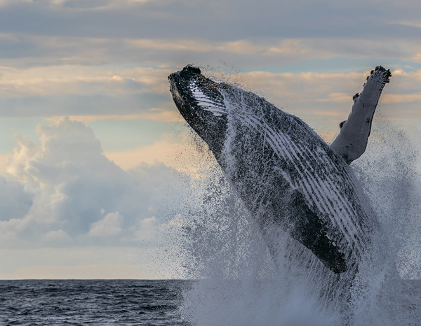 Tutkulu Gezginler İçin Keşfedilmeye Değer 100 Rota