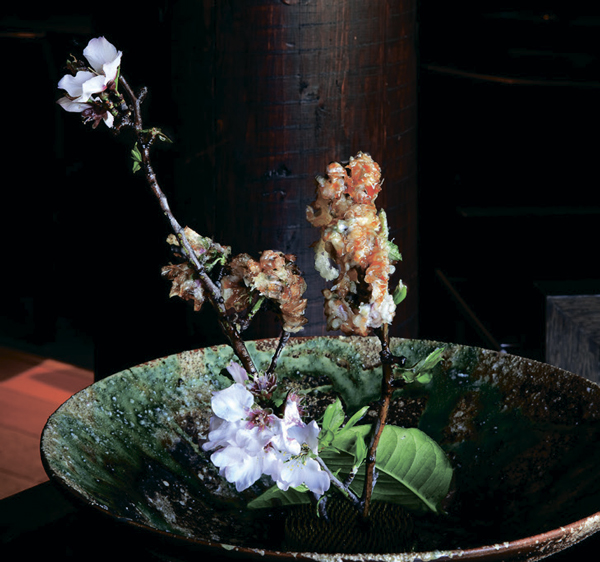 Tutkulu Gezginler İçin Keşfedilmeye Değer 100 Rota