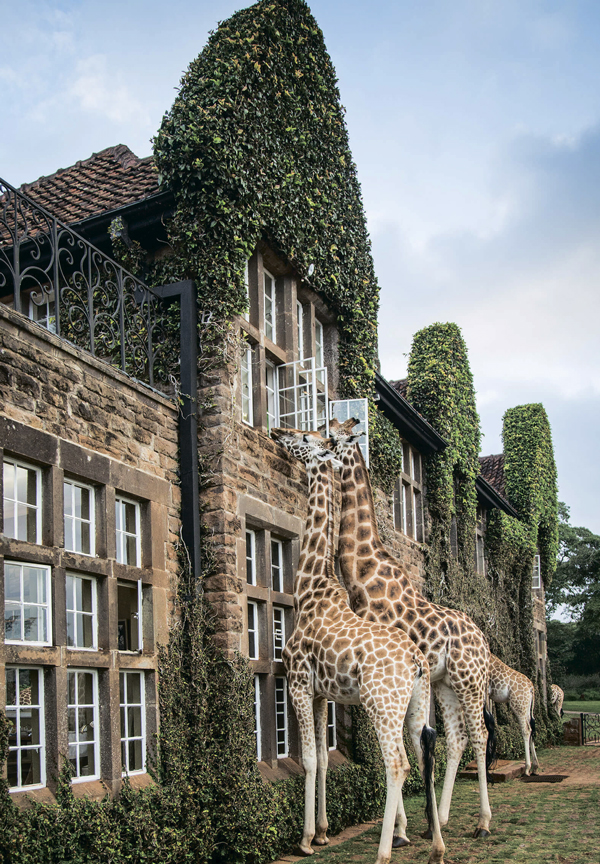 Tutkulu Gezginler İçin Keşfedilmeye Değer 100 Rota