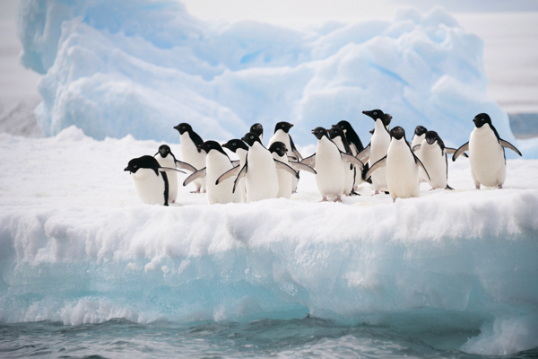 Tutkulu Gezginler İçin Keşfedilmeye Değer 100 Rota