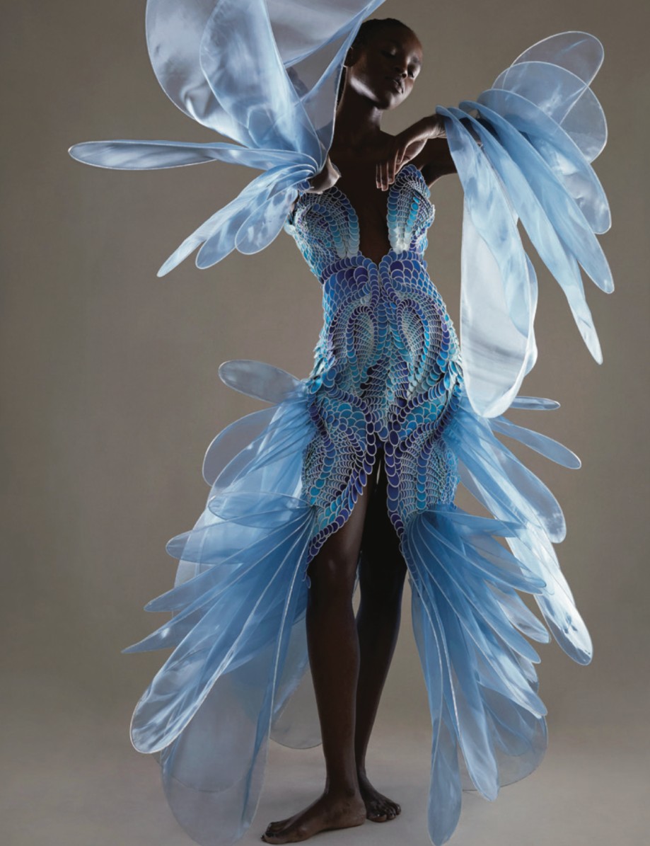 Zıtlıkların Harmonisi