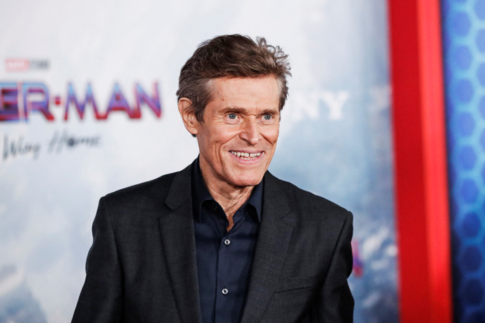 'Maskeli Zendaya' Spider-Man: No Way Home Galasında