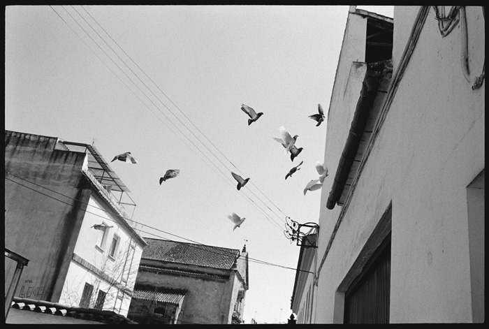 Louis Vuitton, Bu Bahar Yeni Ufuklara Doğru Yola Çıkıyor