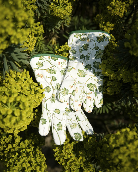 Dior Maison'dan Bahara Adanan Yeni Koleksiyonlar