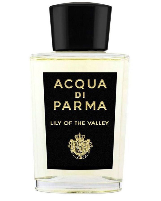 Vadideki En Güzel 10 Zambak Kokusu