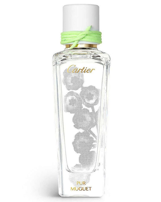 Vadideki En Güzel 10 Zambak Kokusu