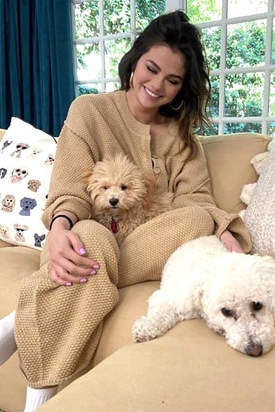 Ünlüler Ve Evcil Hayvanları