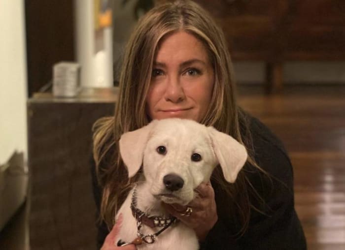 Ünlüler Ve Evcil Hayvanları