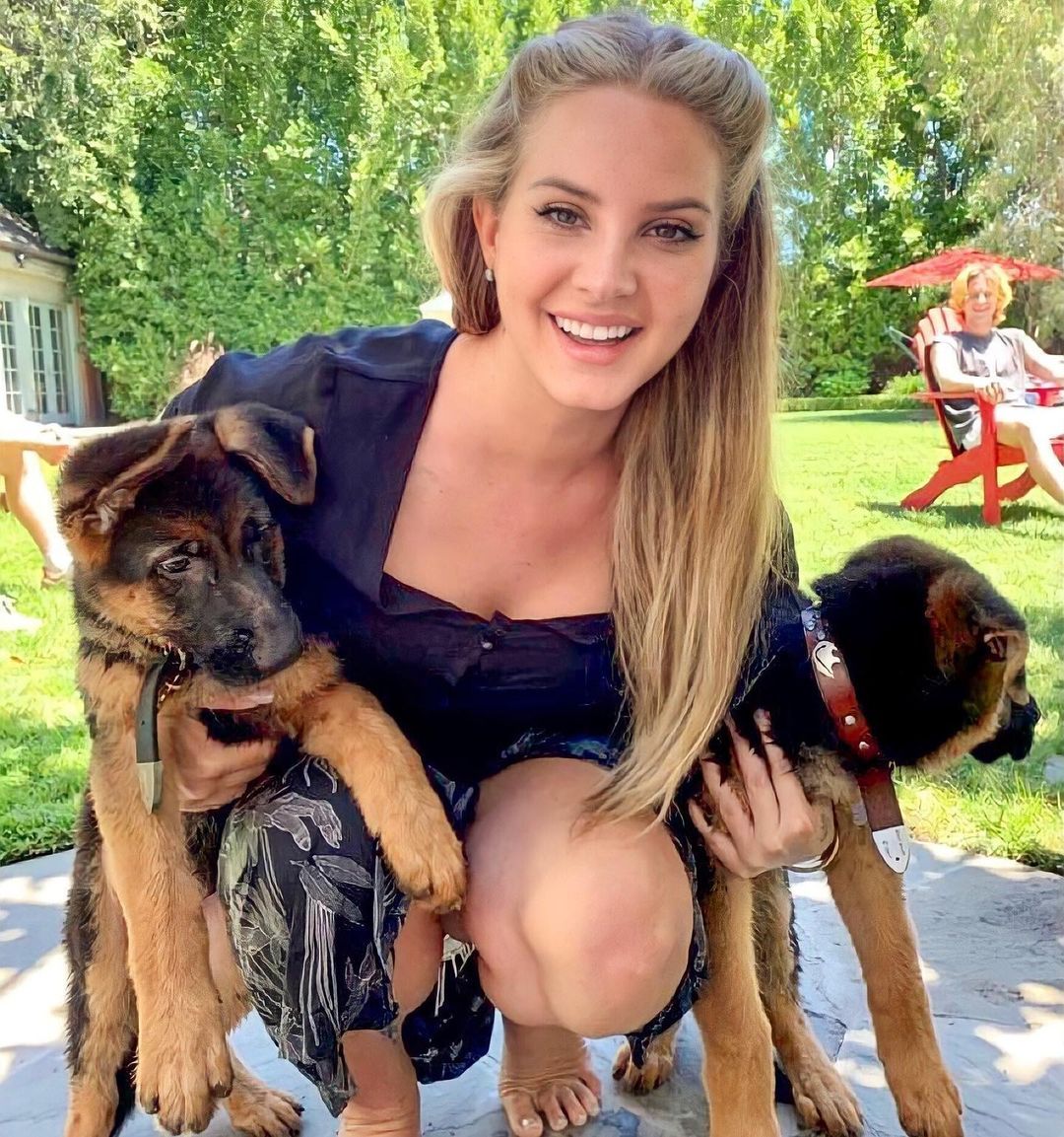 Ünlüler Ve Evcil Hayvanları