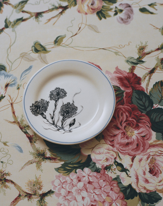 Dior'dan Bir Provence Tablosu: La Colle Noire Koleksiyonu