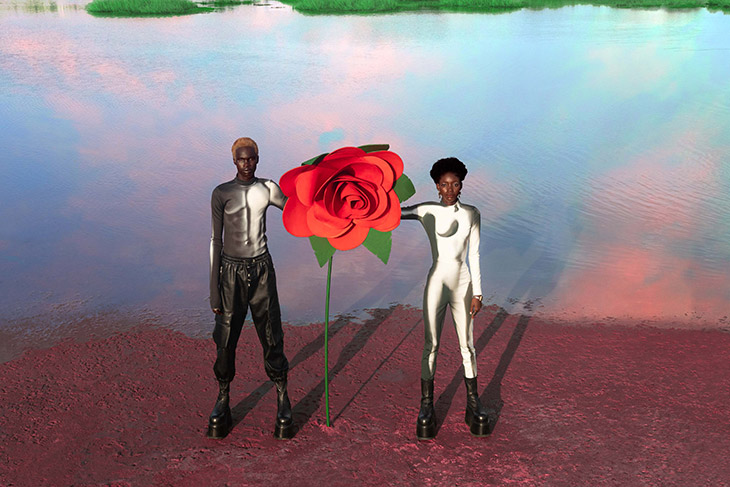 Küçük Prens'in Büyülü Evrenini Keşfedin