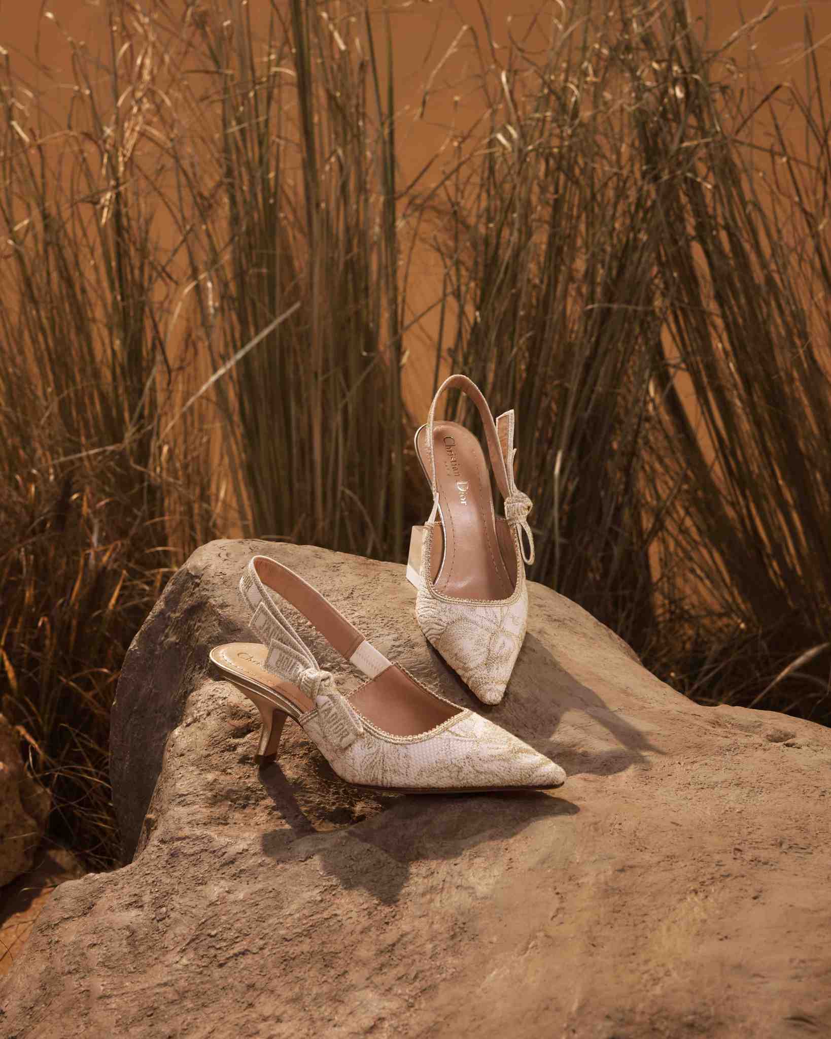 Dior İle Rüya Gibi Bir Kutlama Sezonu