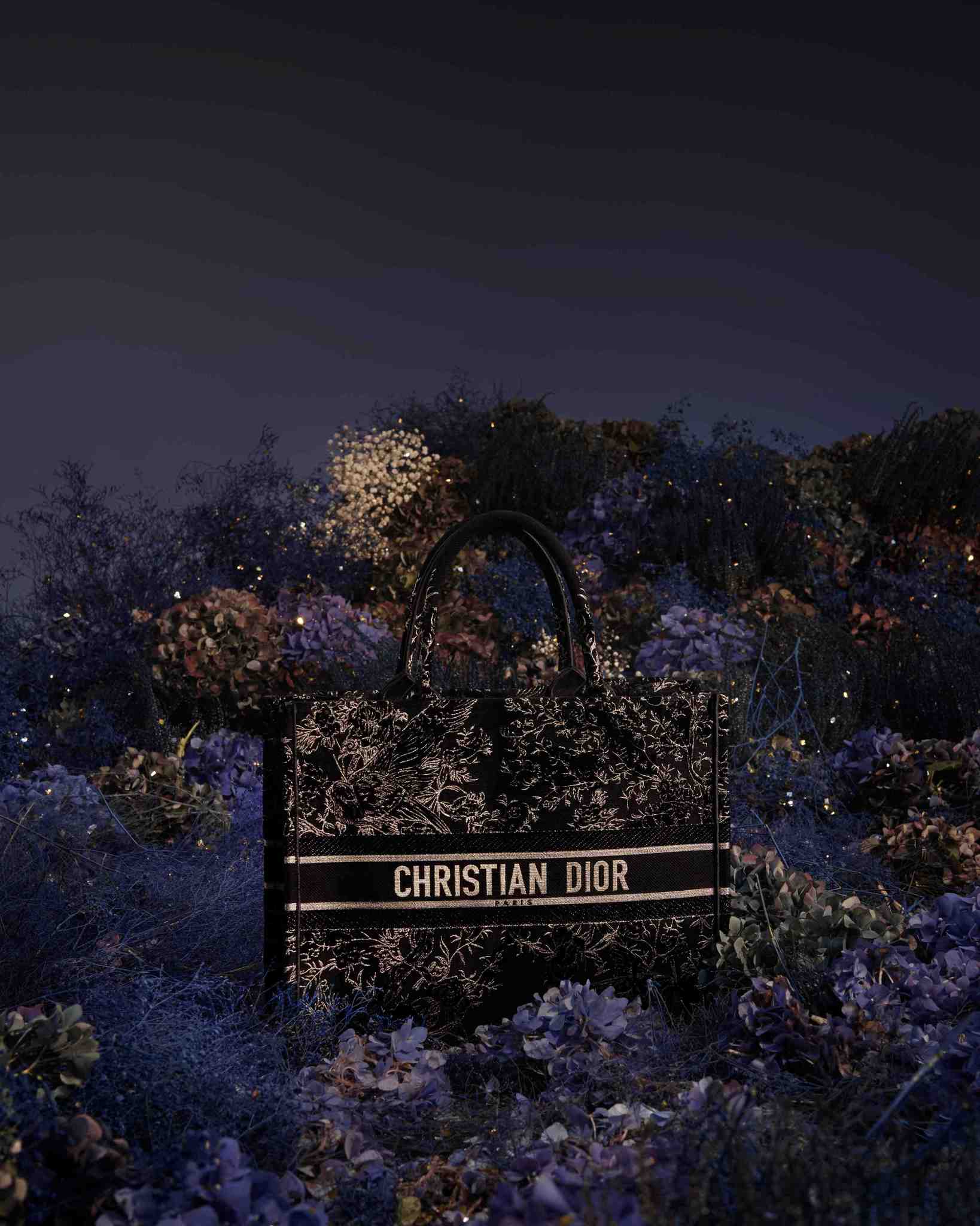 Dior İle Rüya Gibi Bir Kutlama Sezonu