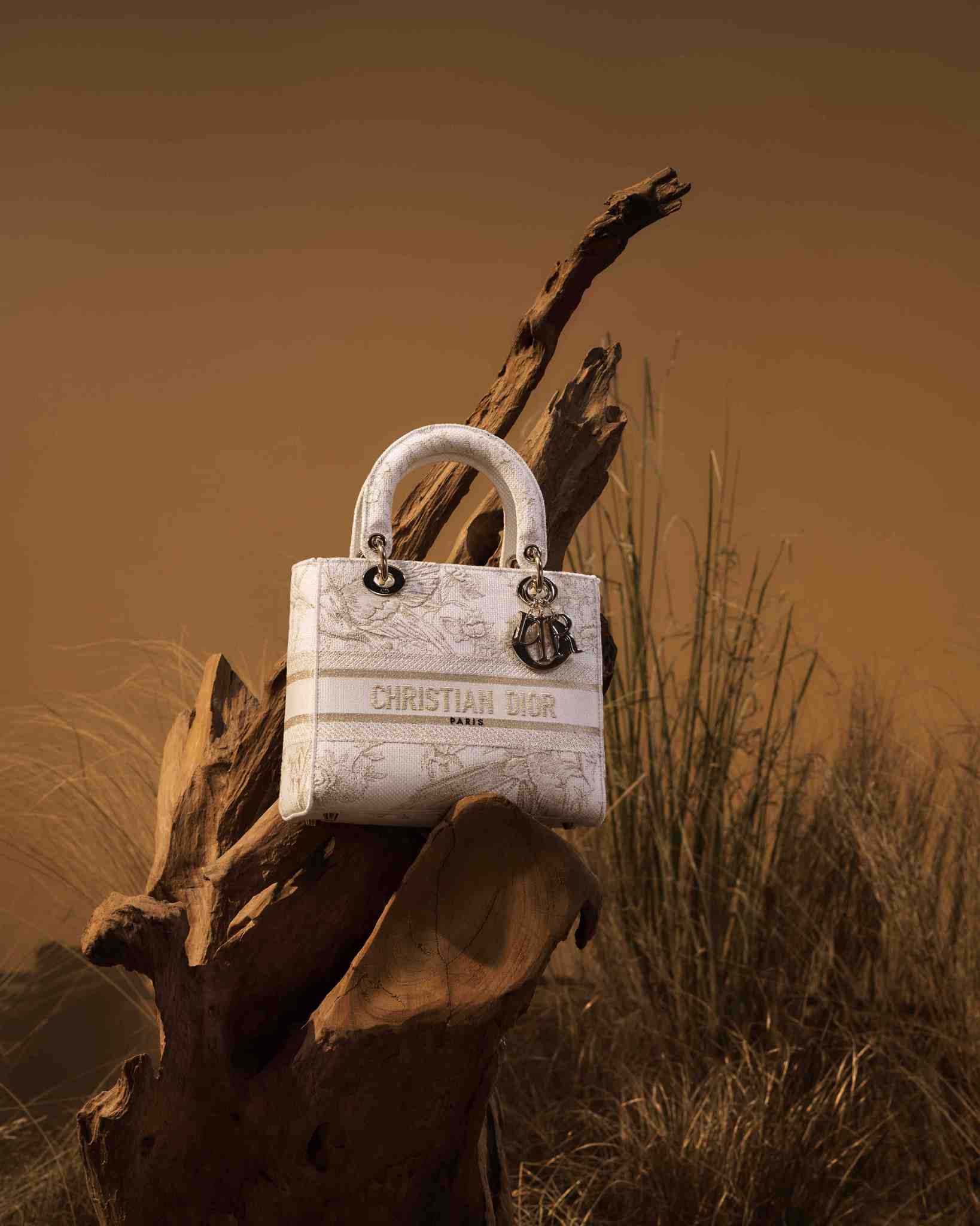 Dior İle Rüya Gibi Bir Kutlama Sezonu