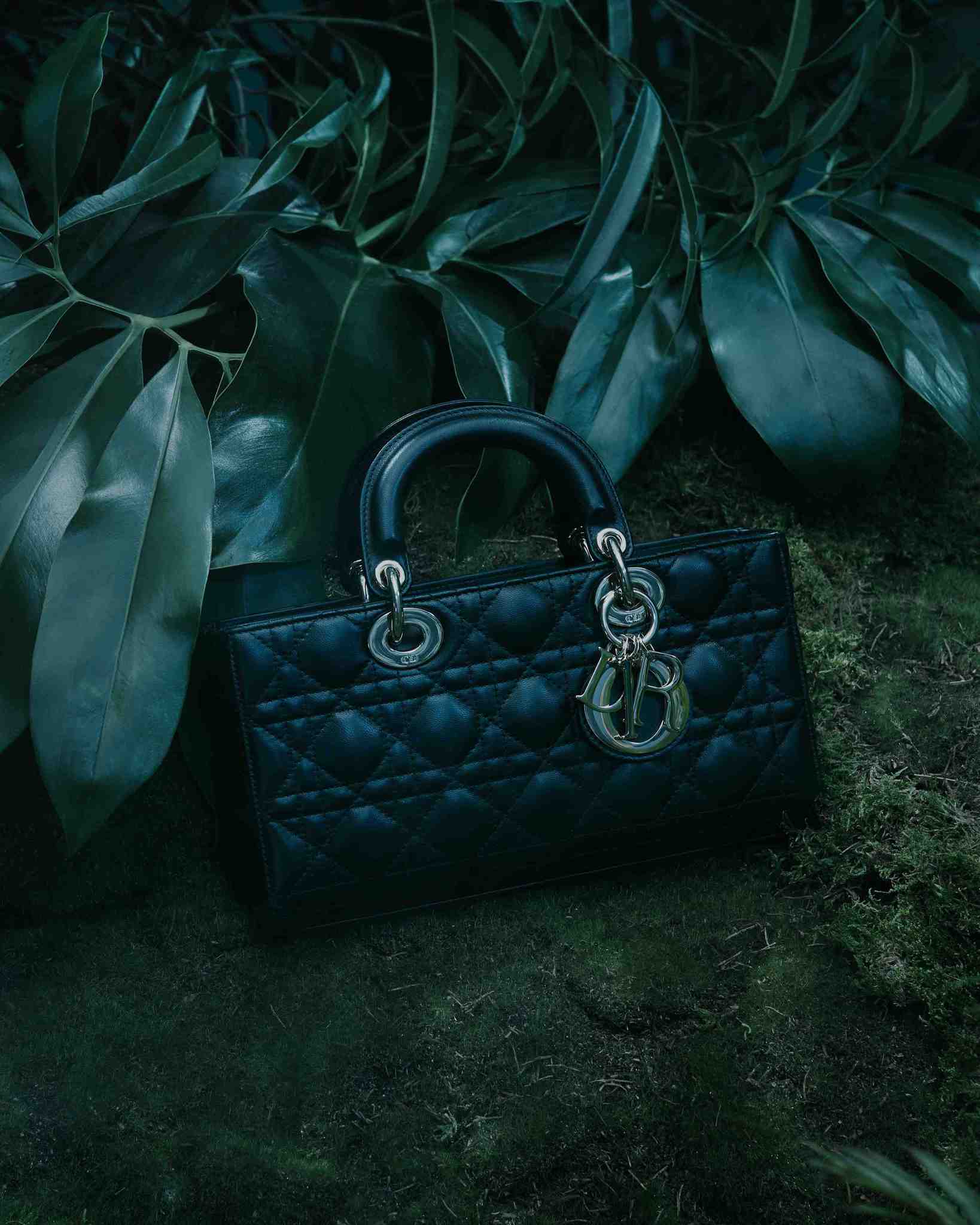 Dior İle Rüya Gibi Bir Kutlama Sezonu