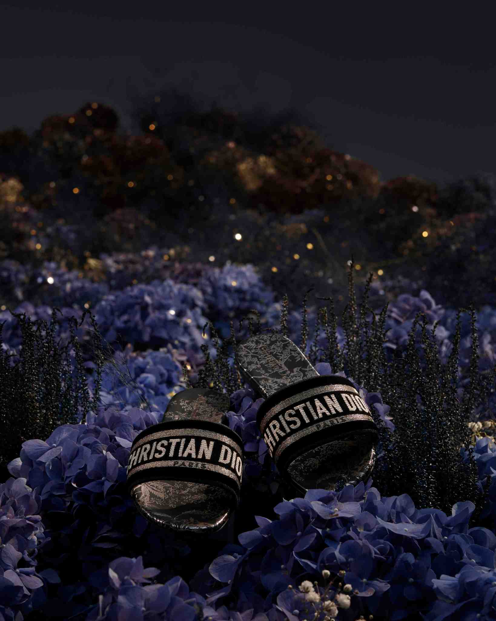 Dior İle Rüya Gibi Bir Kutlama Sezonu