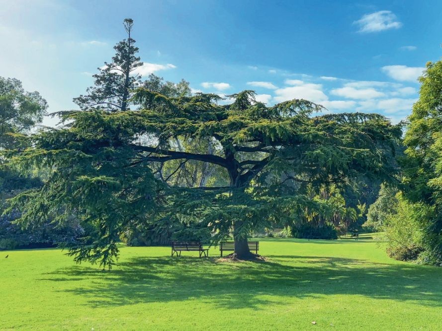Avustralya’nın Parlayan Şehri Melbourne...
