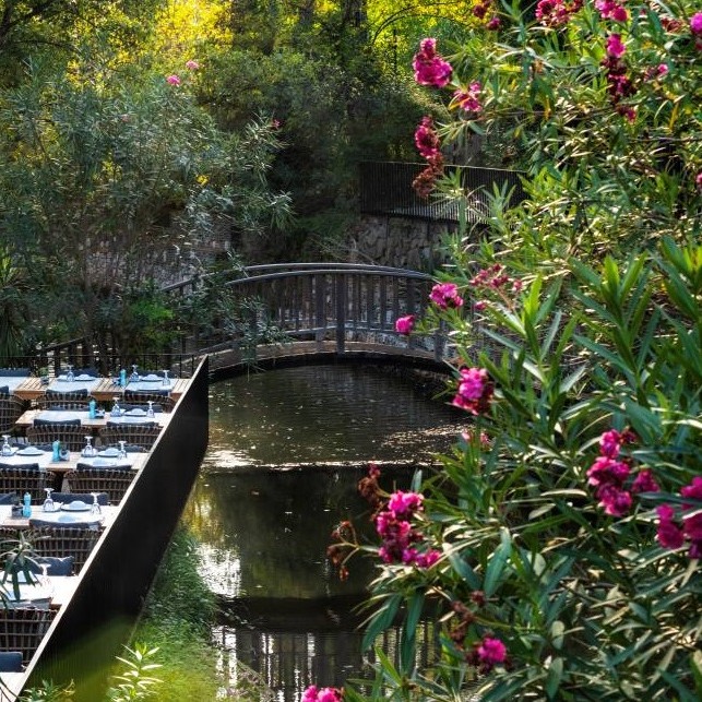 Golden Key Bördübet: Doğanın Kalbinde Sürdürülebilir Lüks ve Sanatla İç İçe Bir Kaçış