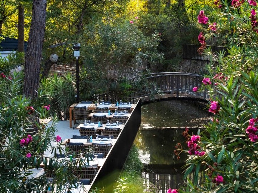 Golden Key Bördübet: Doğanın Kalbinde Sürdürülebilir Lüks ve Sanatla İç İçe Bir Kaçış