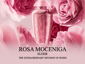 Gülün Zarafeti, Narenciyenin Ferahlığıyla Buluşuyor