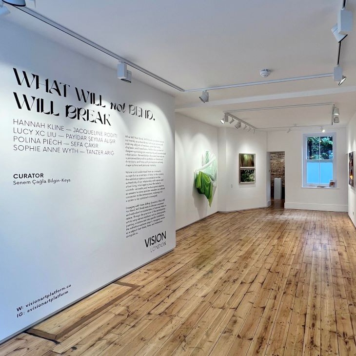 Eğilmeyen Kırılır: Doğa ile Hafızanın İç İçe Geçtiği Bir Sergi