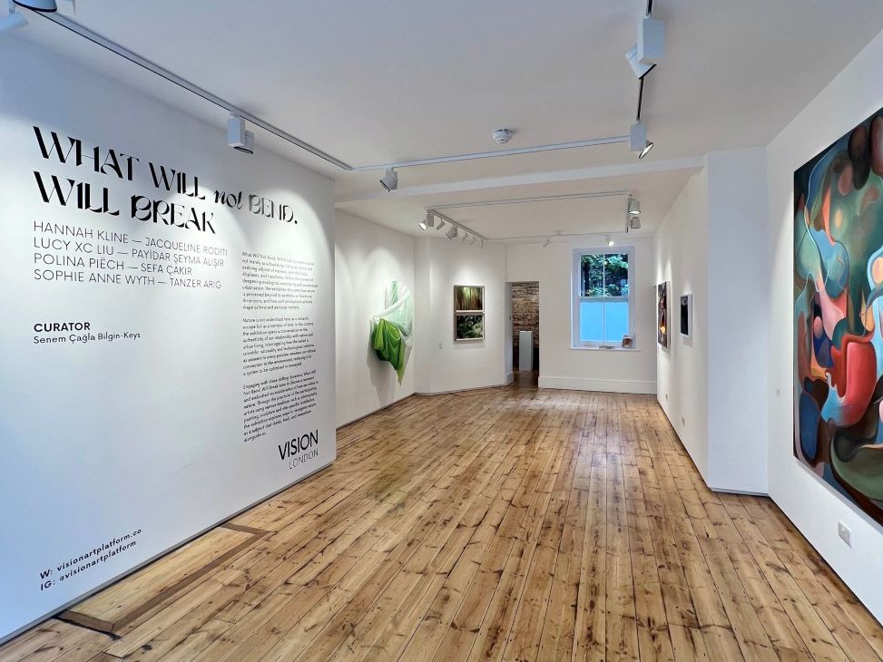 Eğilmeyen Kırılır: Doğa ile Hafızanın İç İçe Geçtiği Bir Sergi