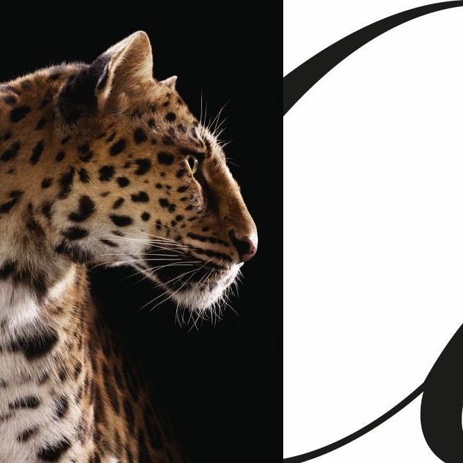 Cartier’den İkonik Kutlama