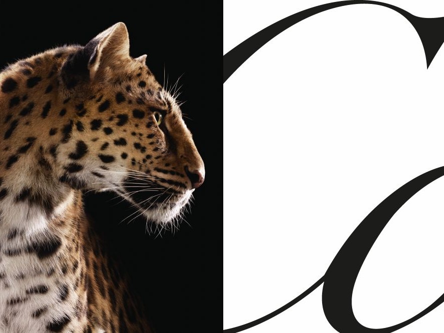 Cartier’den İkonik Kutlama