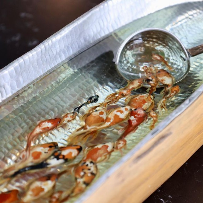 RS Sanat Alanı, “İyileştiğim Yer” ile İzleyiciyi İçsel Yolculuğa Davet Ediyor