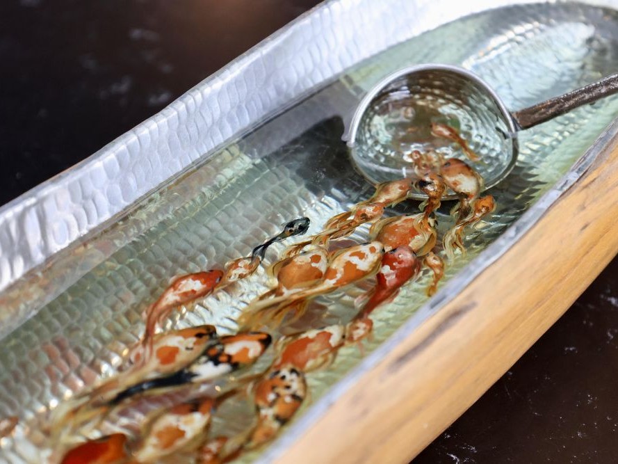 RS Sanat Alanı, “İyileştiğim Yer” ile İzleyiciyi İçsel Yolculuğa Davet Ediyor