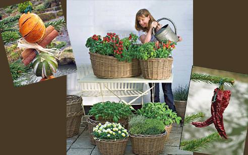 Yenilebilir bahçeler