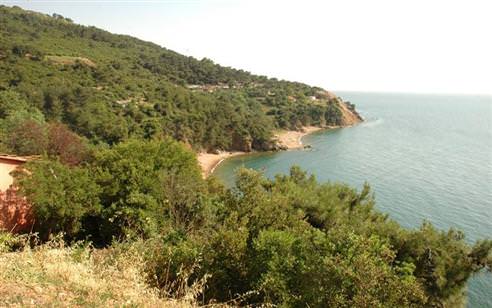 İstanbul'a 40 dakika bir huzur mabedi: Burgazada