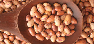 Zeytinyağlı Barbunya