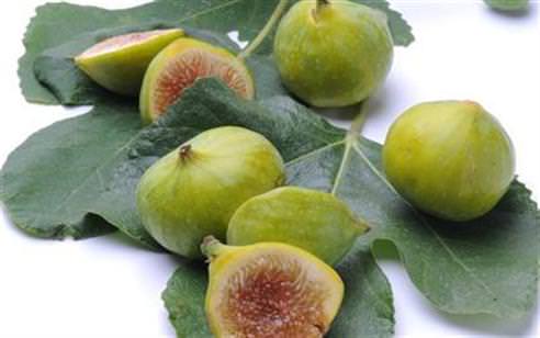 İncirle vedalaşmadan...