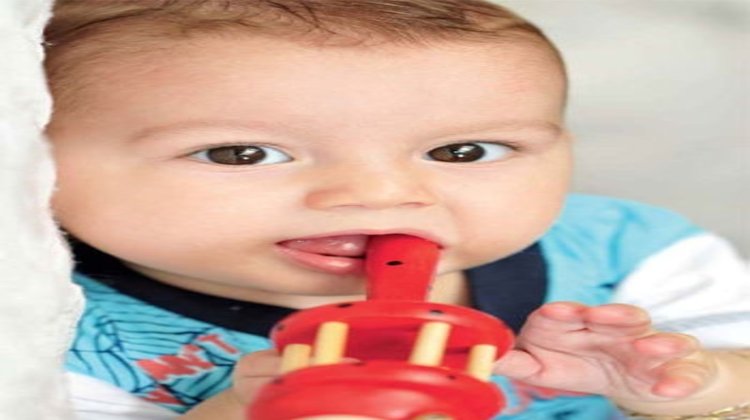 Miniğiniz neden her şeyi ağzına götürüyor?