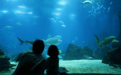 İstanbul Akvaryum’dan çocuklara özel bayram kampanyası!