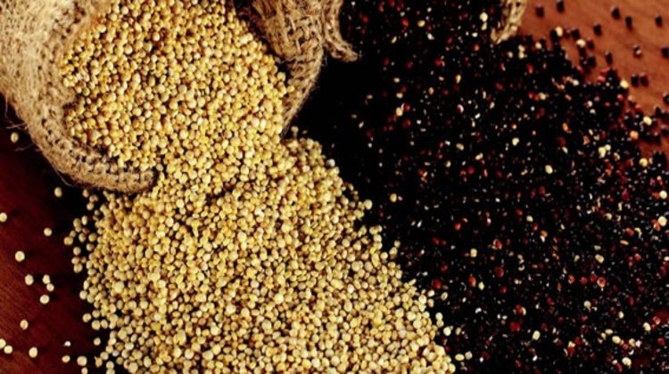 Antik çağların tahılı "Kinoa" moda oldu!