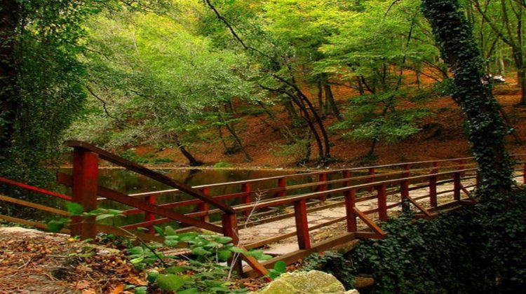 Piknik yapılacak 8 harika yer