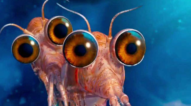 Antartika’dan Krill Yağı ile gelen Omega 3 mucizesi