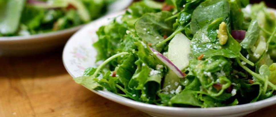 Yeşil mucize tere otu